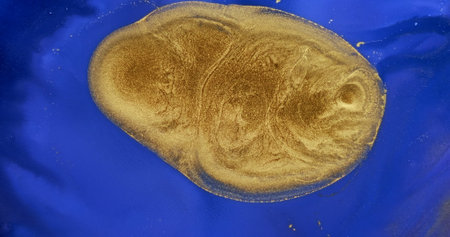 Gold paint flow on blue background. Close-up, shiny golden ink spread, flowing over bright blue...