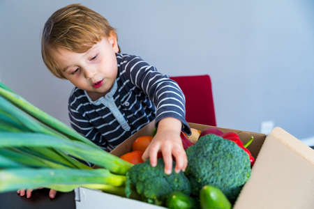 Young boy is playing with vegetables bought in supermarket. Healthy food for children. Toddler pulls broccoli out of shopping craft box.の写真素材