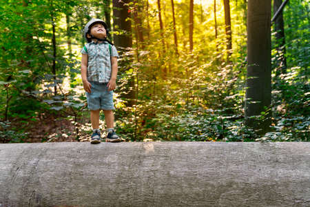 Little toddler standing on a big large elm trunk in a forest in Belgium. Child wearing safety helmet exploring the nature. Sunset in a park.の写真素材
