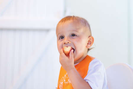 Little toddler boy eating sweet pearch outdoor in summer on white background. Tasty healthy vitamin snack for children.の写真素材