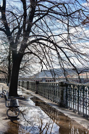 Trees and benchの写真素材