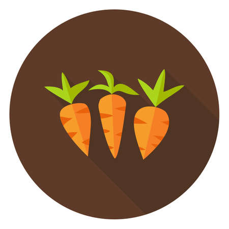 Carrots Vegetables Circle Icon. Flat Design Vector Illustration with Long Shadow. Spring Food Symbol.のイラスト素材