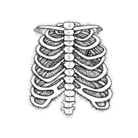 Dotwork Skeleton Chest with Keyのイラスト素材