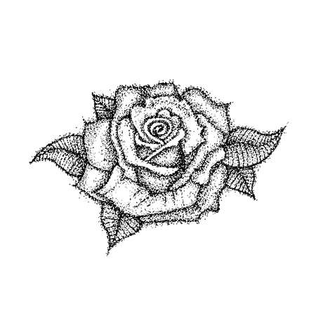 Dotwork Rose Flower. Vector Illustration of T-shirt Design. Tattoo Hand Drawn Sketch.のイラスト素材
