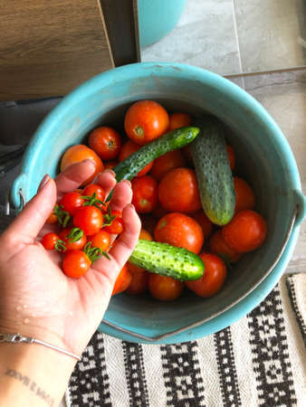 Hand with Bucket Cucumbers Tomatoesの写真素材