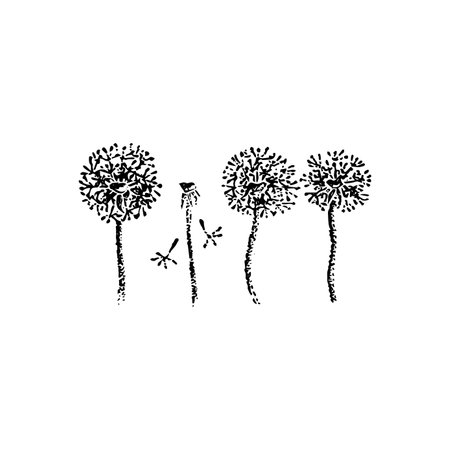 Dandelions Flowers Dotworkのイラスト素材