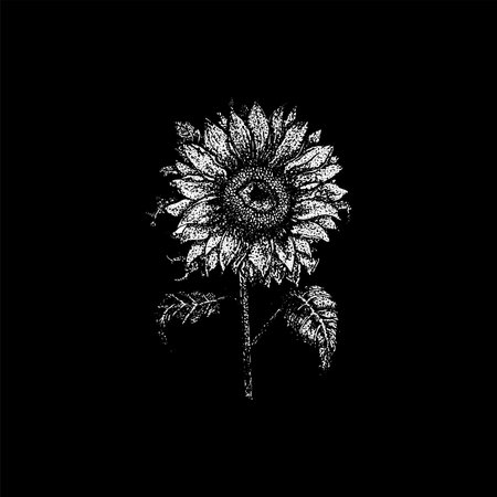 Sunflower Dotwork Illustration Vector Blackのイラスト素材