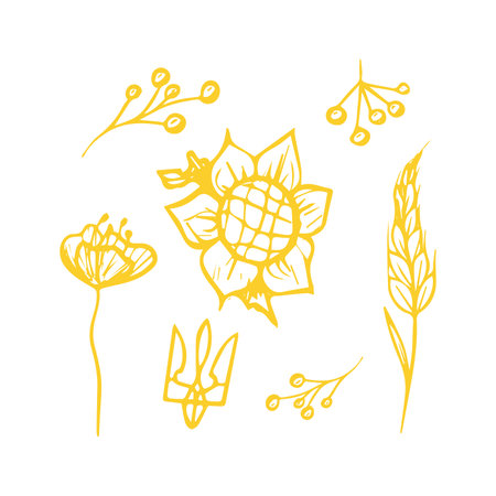 Ukraine Yellow Natural Signs Setのイラスト素材