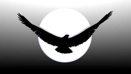 impressive silhouetteの写真素材