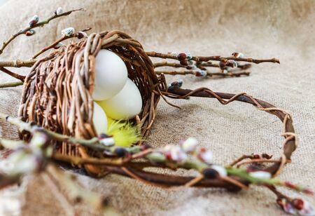 Easter unpaited white eggs in a basket pussy willowの写真素材