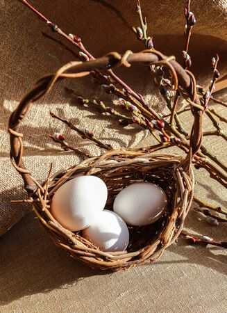 Easter unpaited white eggs in a basket with pussy willowの写真素材
