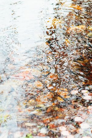 Beautiful autumn in the forest. Reflection of forest and ripples in the water. Beauty in nature