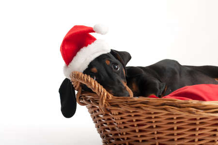 Waiting for Santa Clausの写真素材