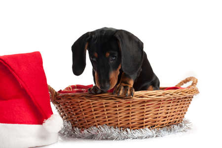 Christmastimeの写真素材