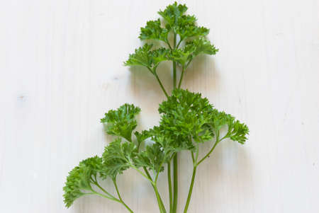 Parsley spice on rustic white tableの写真素材