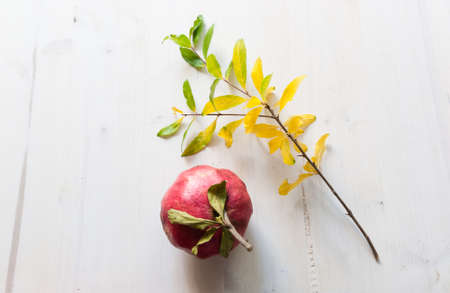 Pomegranate fruit close-up pomegranate on rustic white wooden tableの写真素材
