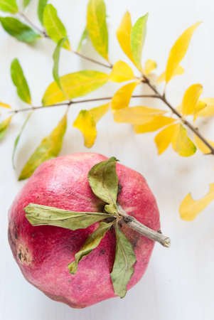 Pomegranate fruit close-up pomegranate on rustic white wooden tableの写真素材