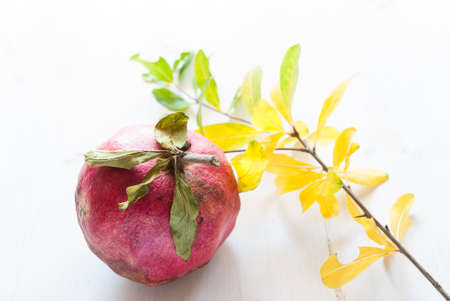 Pomegranate fruit close-up pomegranate on rustic white wooden tableの写真素材