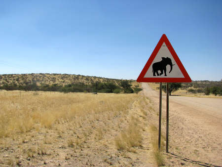 Namibia Road sign elphantの写真素材