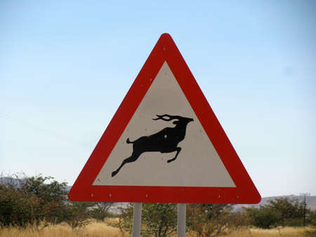 Namibia Road sign gazelleの写真素材