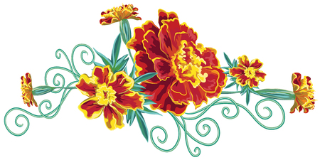 Bouquet of orange marigold flowers, marigold, leaves and curly stems isolated on white background in vectorのイラスト素材
