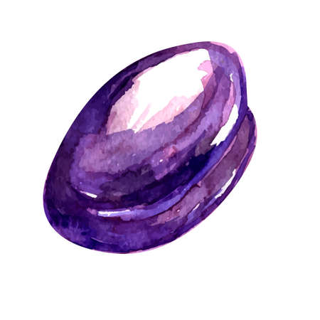 Watercolor sweet plum in vector. Hand paint.のイラスト素材