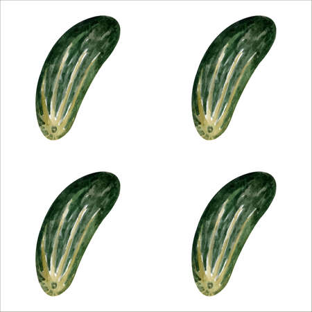 Watercolor cucumber seamless pattern in vectorのイラスト素材