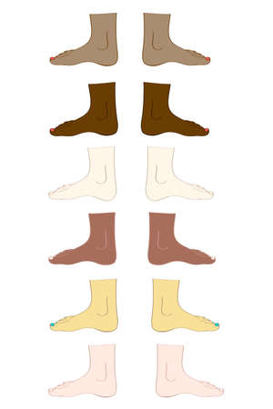 Men or women feet in vectorのイラスト素材