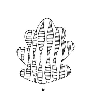 Hand drawn doodle leave in vectorのイラスト素材