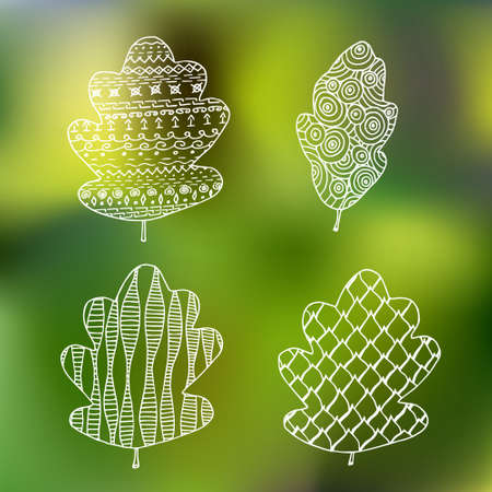 Hand drawn doodle leave inのイラスト素材