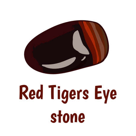 Red tiger eye stone on white background.  illustrationのイラスト素材