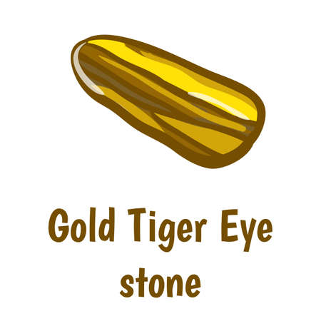 Gold tiger eye stone on white background.  illustrationのイラスト素材