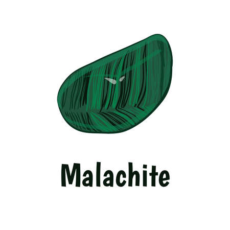Malachite stone on white background.  illustrationのイラスト素材