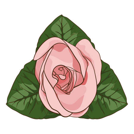 Rose in . Perfect for cards, wedding invitations, textile, t-shirt.のイラスト素材