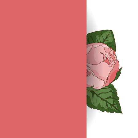 Wedding card template with roses, leaves and pink place for your text. Perfect for cards, wedding invitations.のイラスト素材