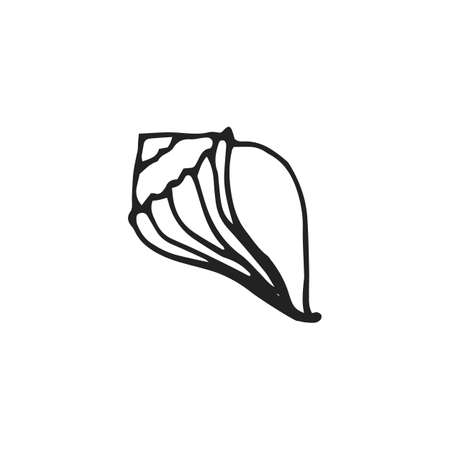 Shell icon in outline style.のイラスト素材