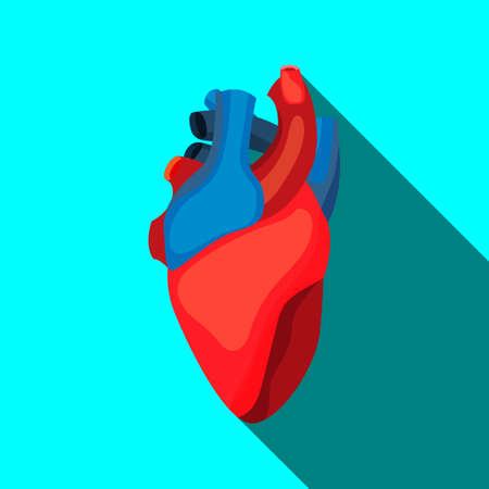 Human heart icon in cartoon style. For medicine, education and school postersのイラスト素材
