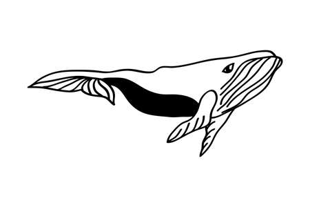 Whale icon in hand drawn style. Vector illustration. For print, poster, nursery designのイラスト素材