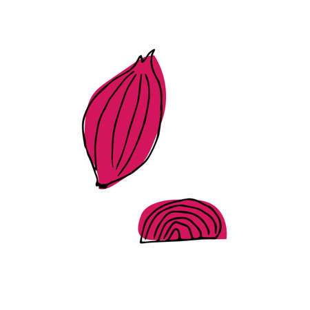 Ingredient for salad - garlic icon in hand drawn style. Vector illustrationのイラスト素材