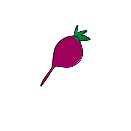 Beets icon in sketch style. Vector illustrationのイラスト素材