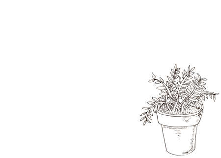 Beans flower pot banner in hand drawn style. Vector illustrationのイラスト素材