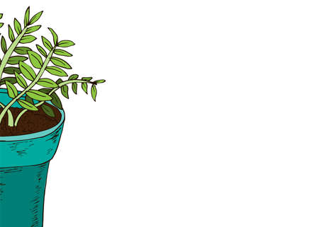 Beans flower pot banner in hand drawn style. Vector illustrationのイラスト素材