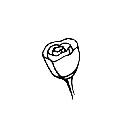 Rose logo in hand drawn style. Vector illustrationのイラスト素材