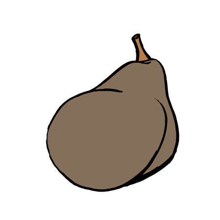 Pear fruit icon in hand drawn style. Vector illustration. Perfect for print, kitchen, textileのイラスト素材