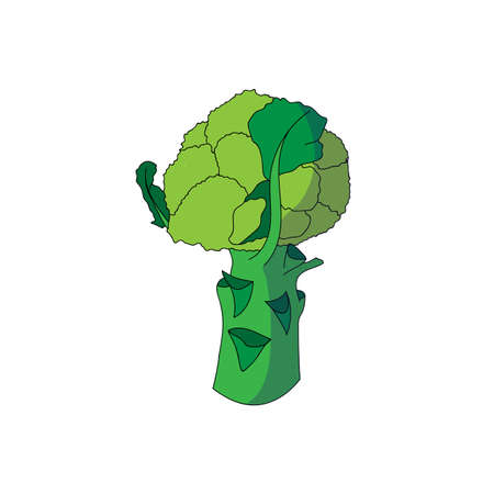Broccoli icon in cartoon style. Vector illustrationのイラスト素材