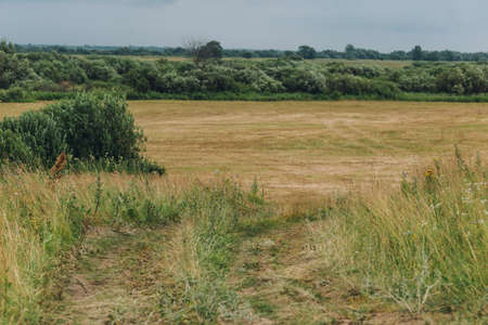 Rural landscape with country road in field. Concept of mowing grass. High quality photo