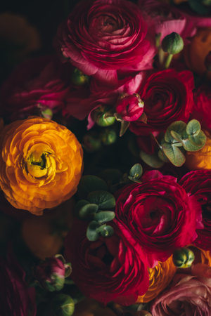 Dark flower background, soft focus on colourful buds of flowers in yellow and rose, ranunculus and eucalyptus bouquet close up. High quality photoの写真素材