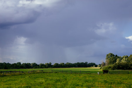 Stunning rural landscape with dark sky over fresh green field, changing stormy weather in summer countryside, pouring rain with sun. High quality photoの写真素材