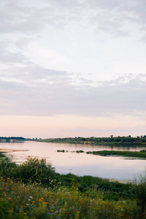 Beautiful scenery of evening river bank with grass and wild flowers, rustic scenery of evening lake. High quality photoの写真素材