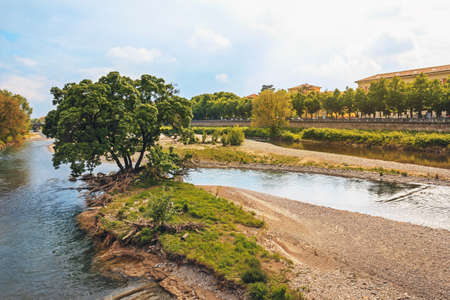 Beautiful tree growing in the middle of a shallow riverの写真素材